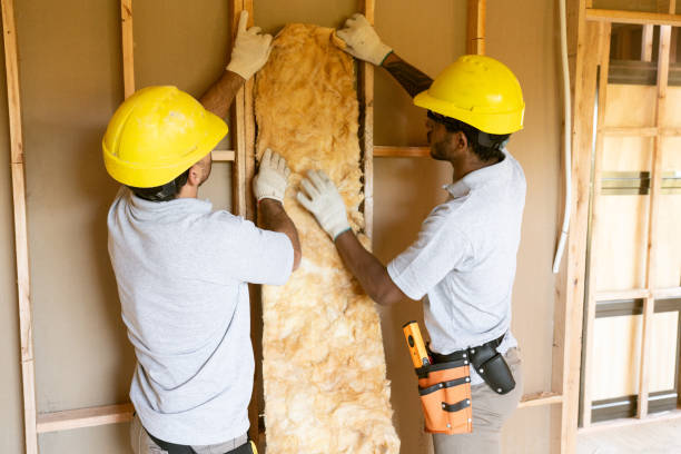 Best Attic Insulation Near Me  in Yorkvle, IL